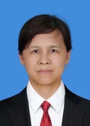 林红律师